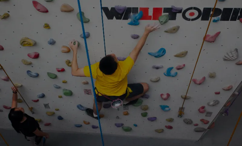 Kallang Rock Climbing - Singapore Sports Hub