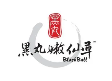 Blackball Tampines 1