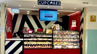 Twelve Cupcakes