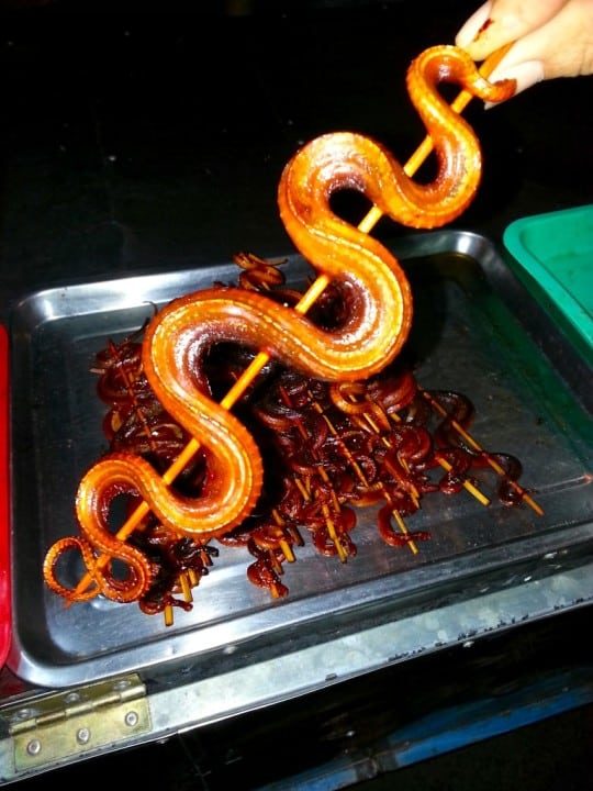 Snake on a bloody stick, GENIUS!!! 