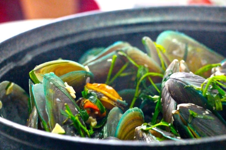 French style tarragon & white wine mussels