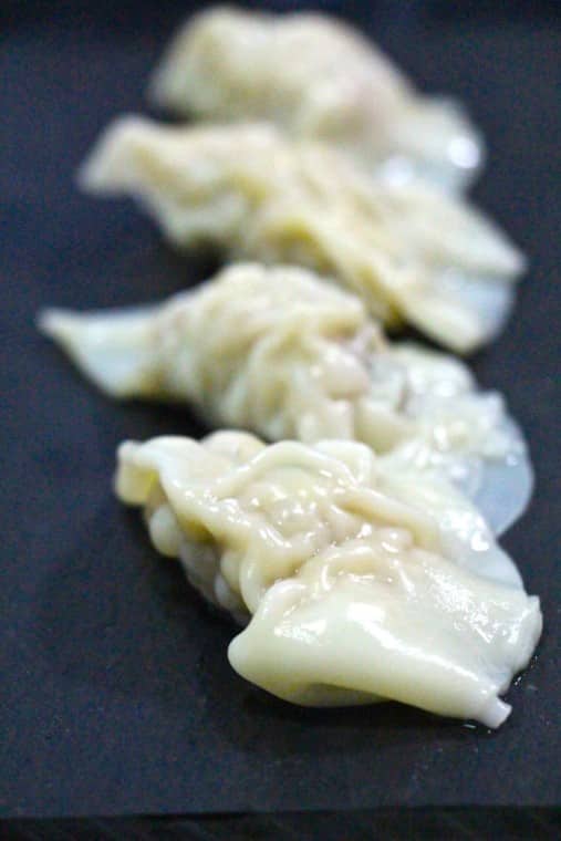 Japanese Gyoza Dumpling Recipe