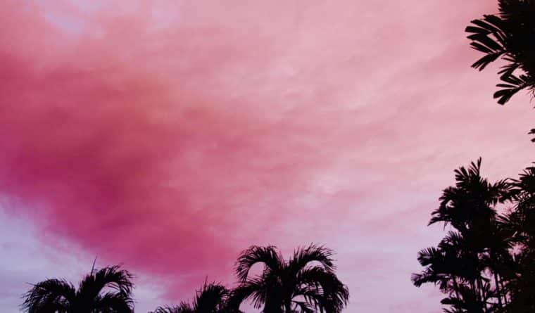 Pink Dusky Sky