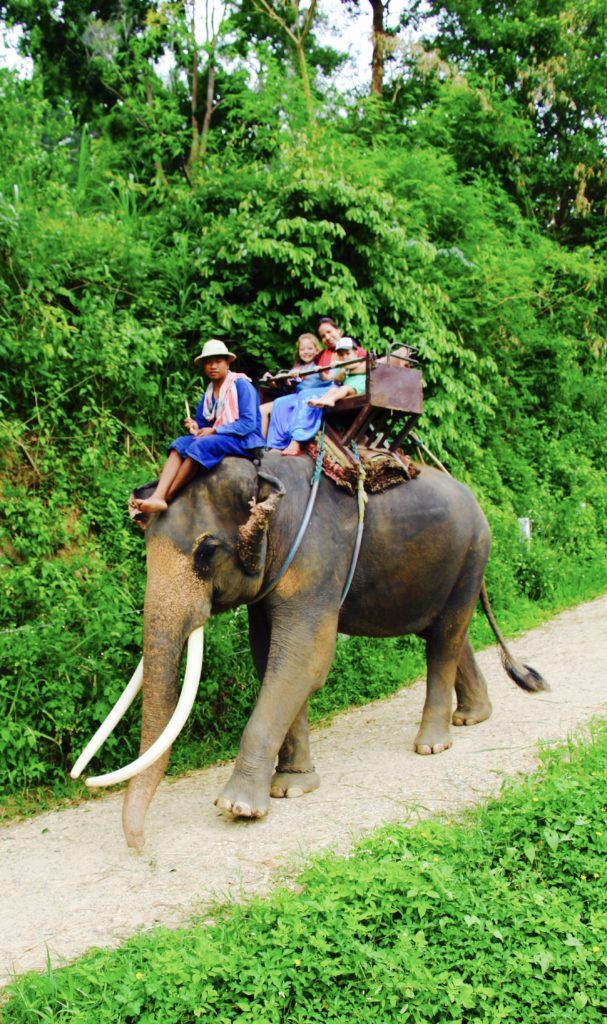 Chiang Mai Review elephant riding