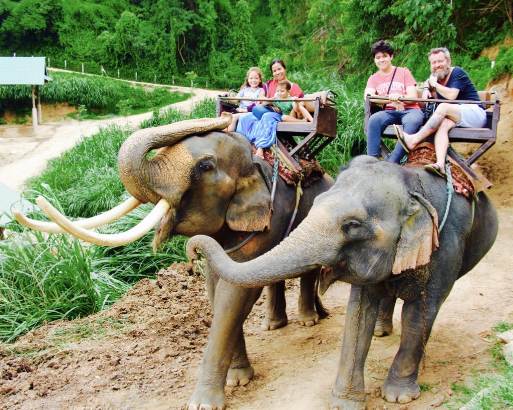 Chiang Mai Review elephant riding #2