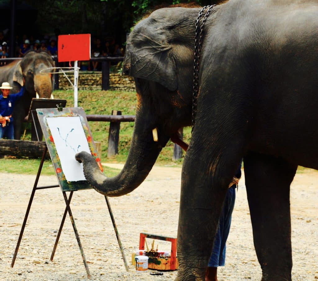 Chiang Mai Review elephants painting