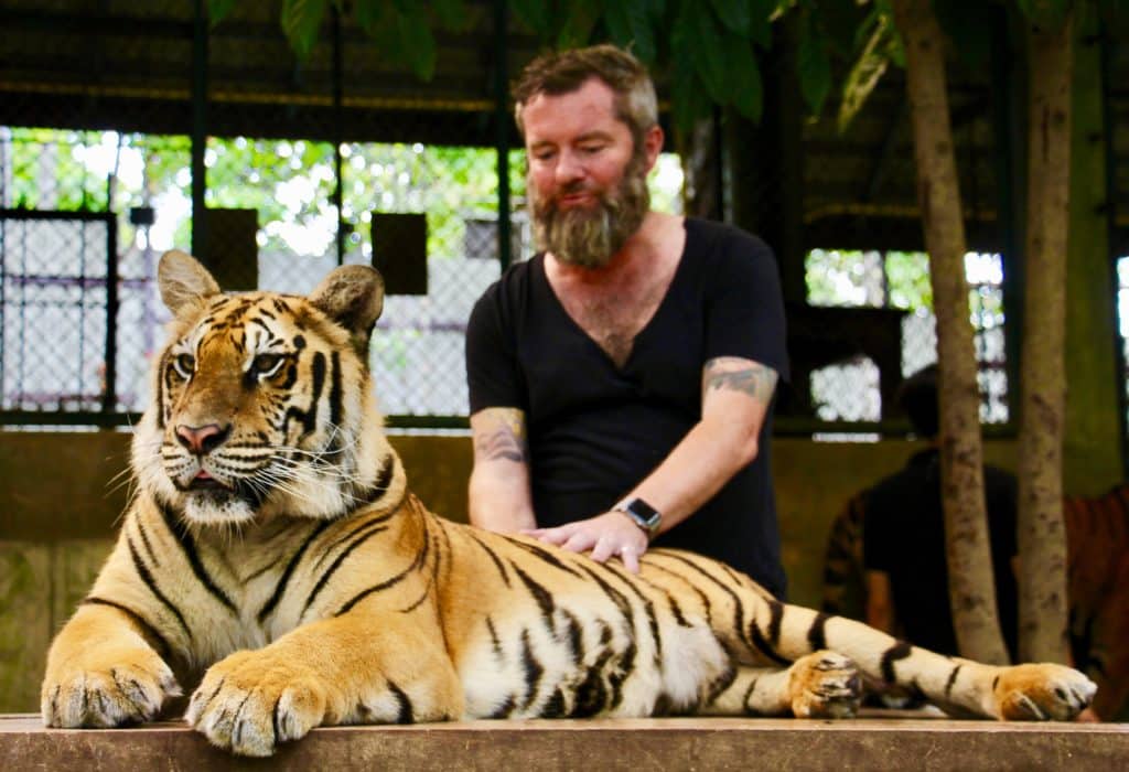 Chiang Mai Review Tiger Kingdom #2