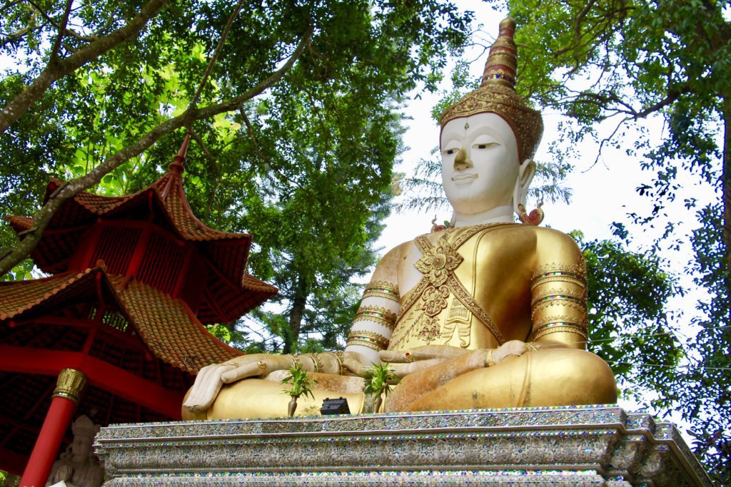 Chiang Mai Review Golden Wat