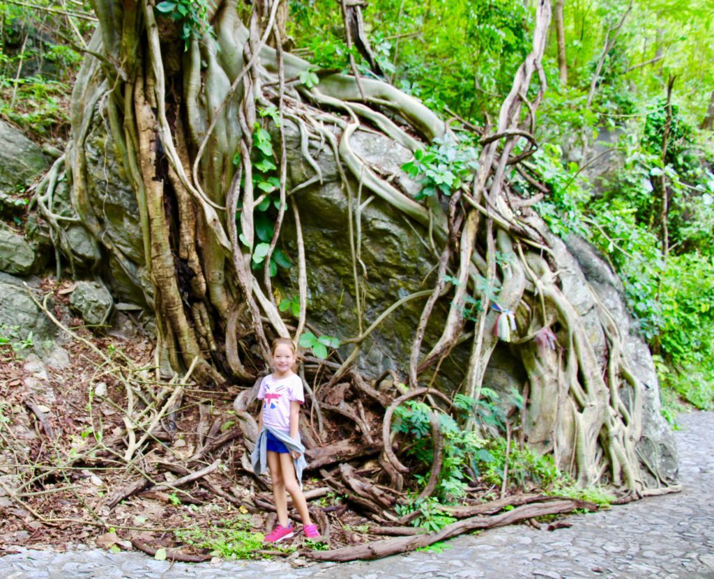 Chiang Mai Review HUAY KAEW WATERFALL (CHIANG MAI)