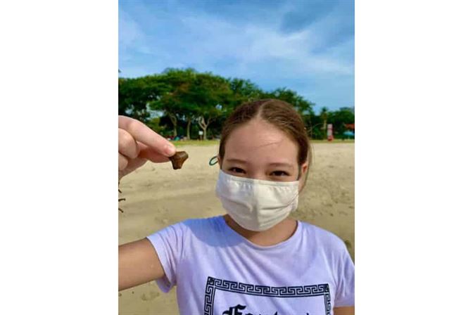 fossil shark tooth at changi beach