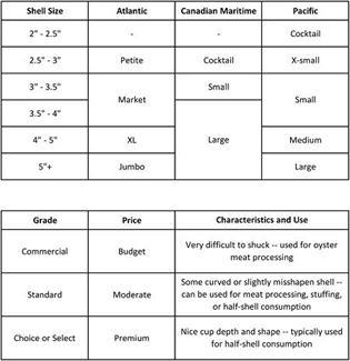 Oyster size chart