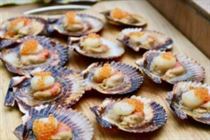 chillaxbbq scallops