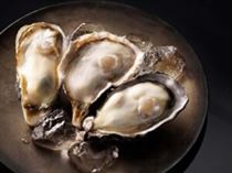 Japanese oysters