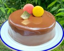 Patisserie Glacé Gluten-Free Cake Choco