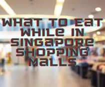 What to Eat while in Singapore Shopping Malls