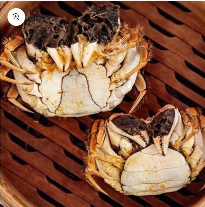 Mamago hairy crabs