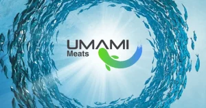 umami-meats