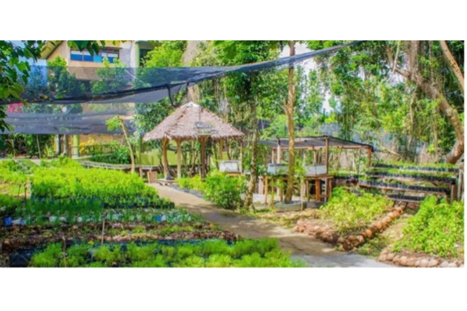 Bohol Bee Farm Gardens