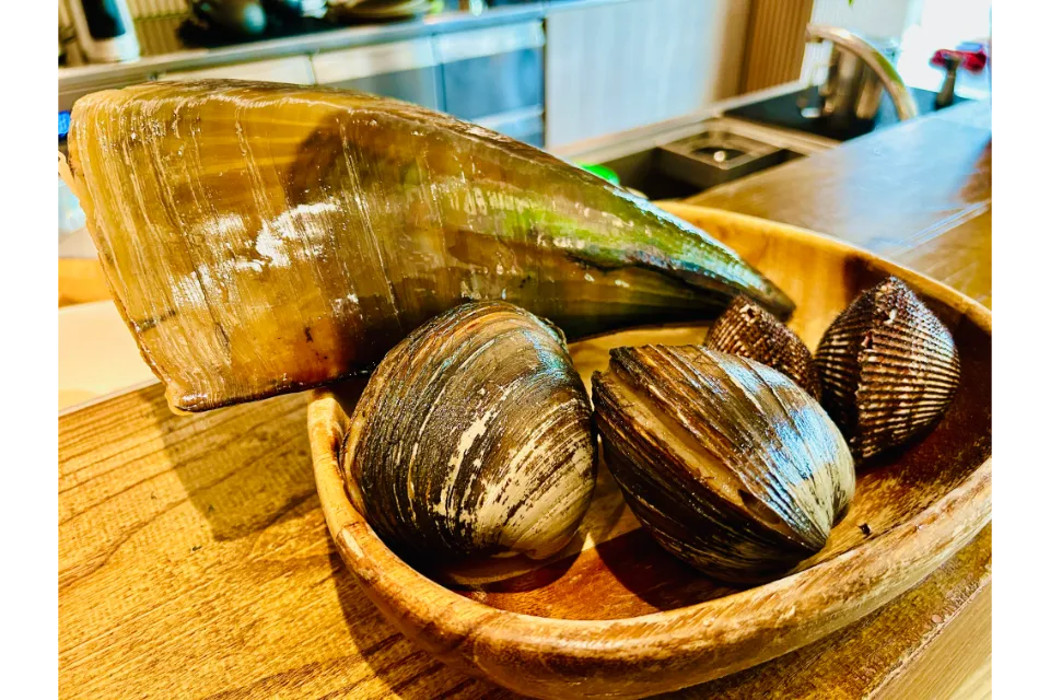 noka by tippling club fresh clams from japan