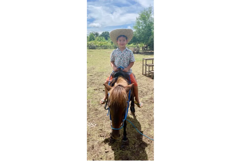 South Farm Panglao horse riding