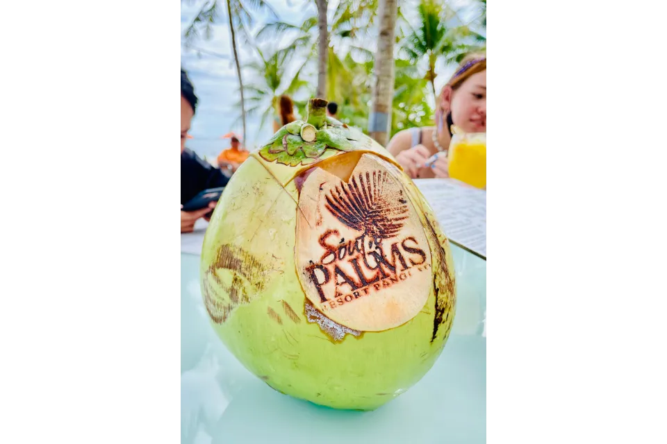 South Palms Resort Panglao Coconut