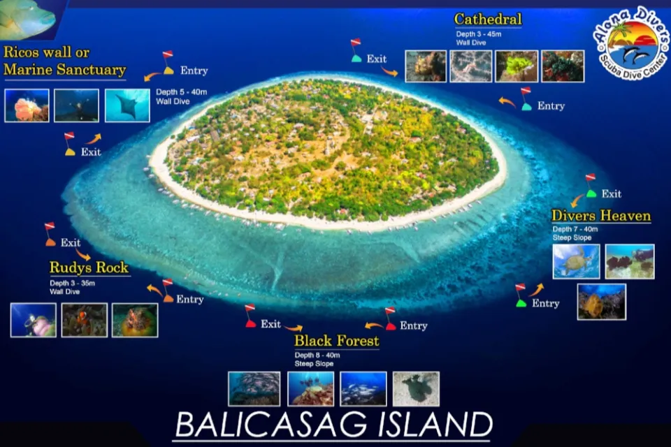 snorkeling and diving balicasag island