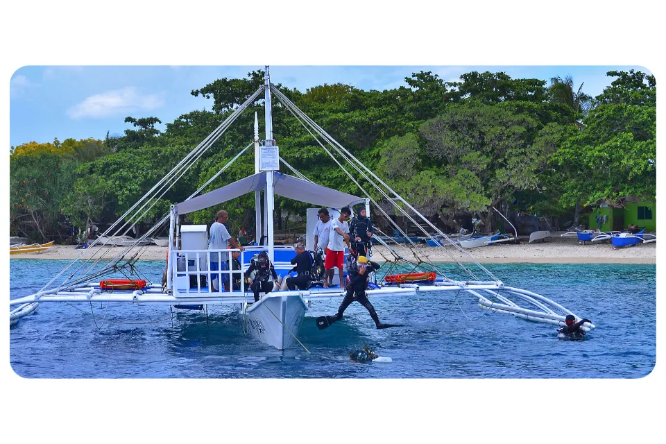 diving in balicasag island the philippines