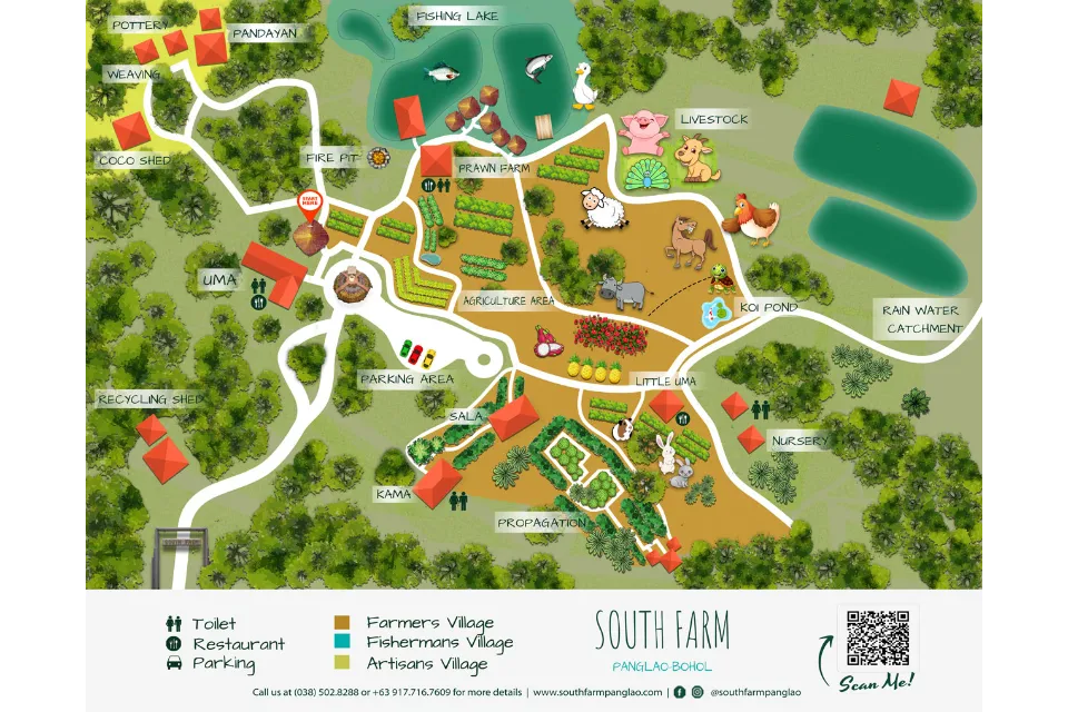 south farm panglao map