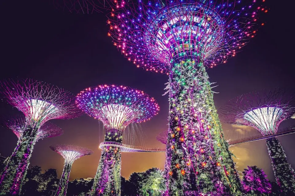singapore gardens by the bay night time