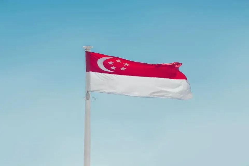 Singapore flag