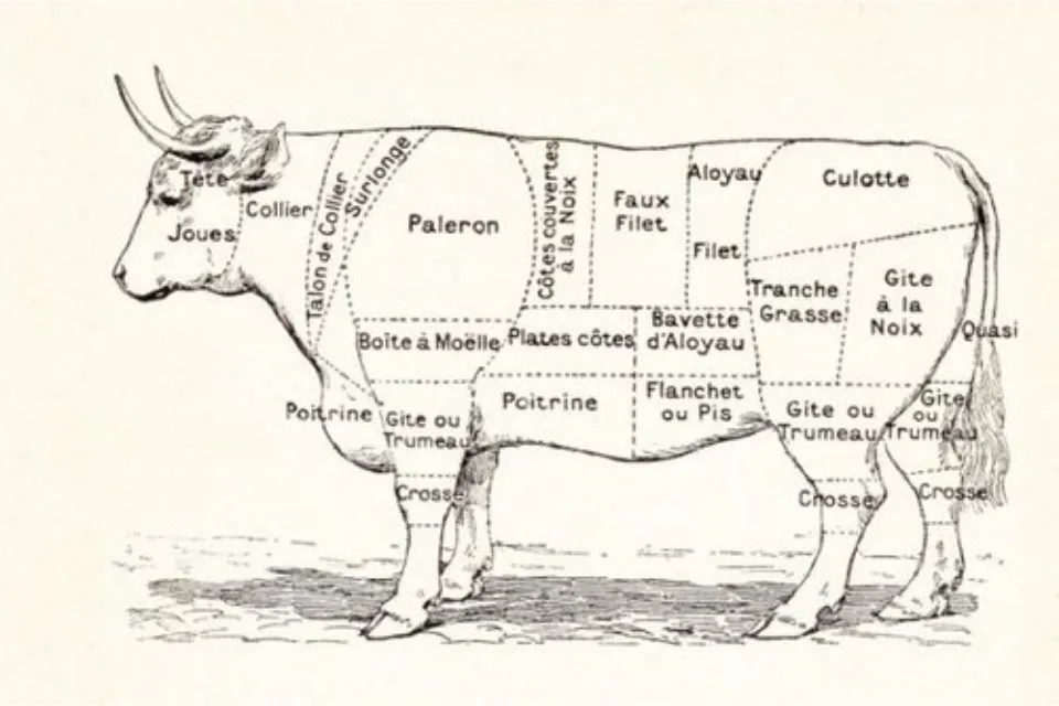 Meat Cuts Diagram Bavette Steak
