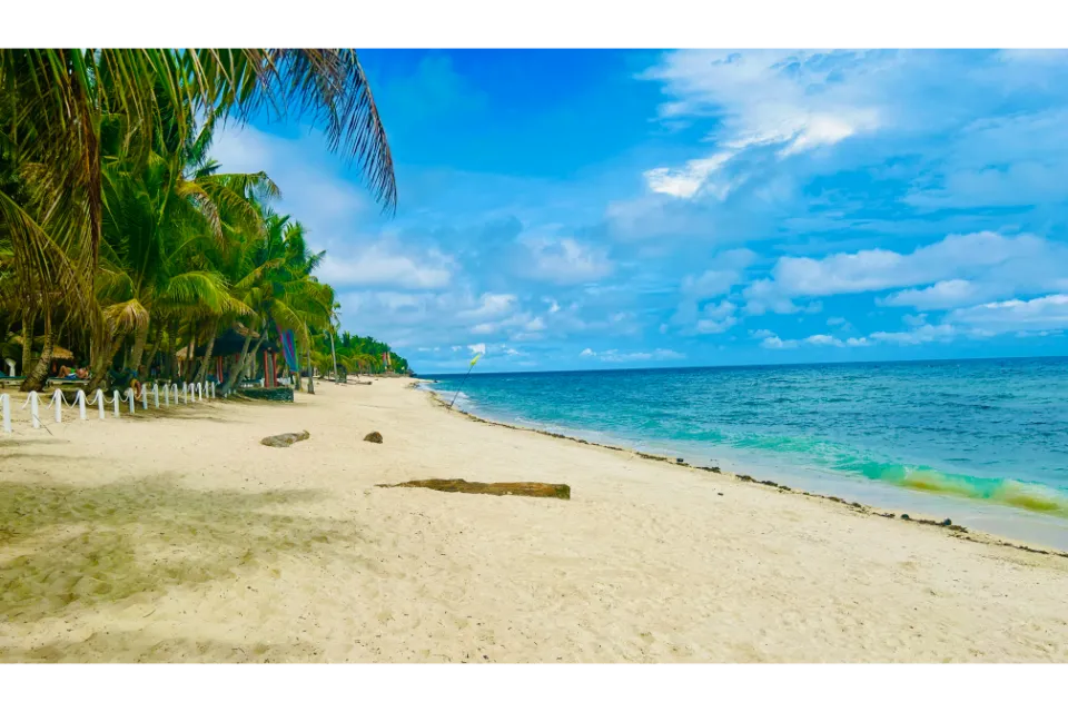 coco grove beach resort 800m beach