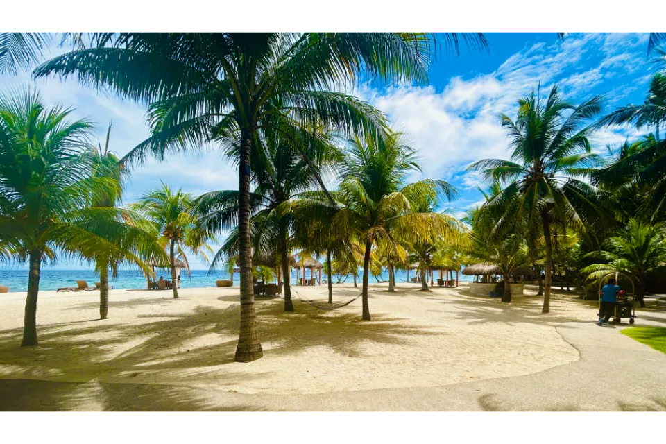 coco grove beach resort the beach