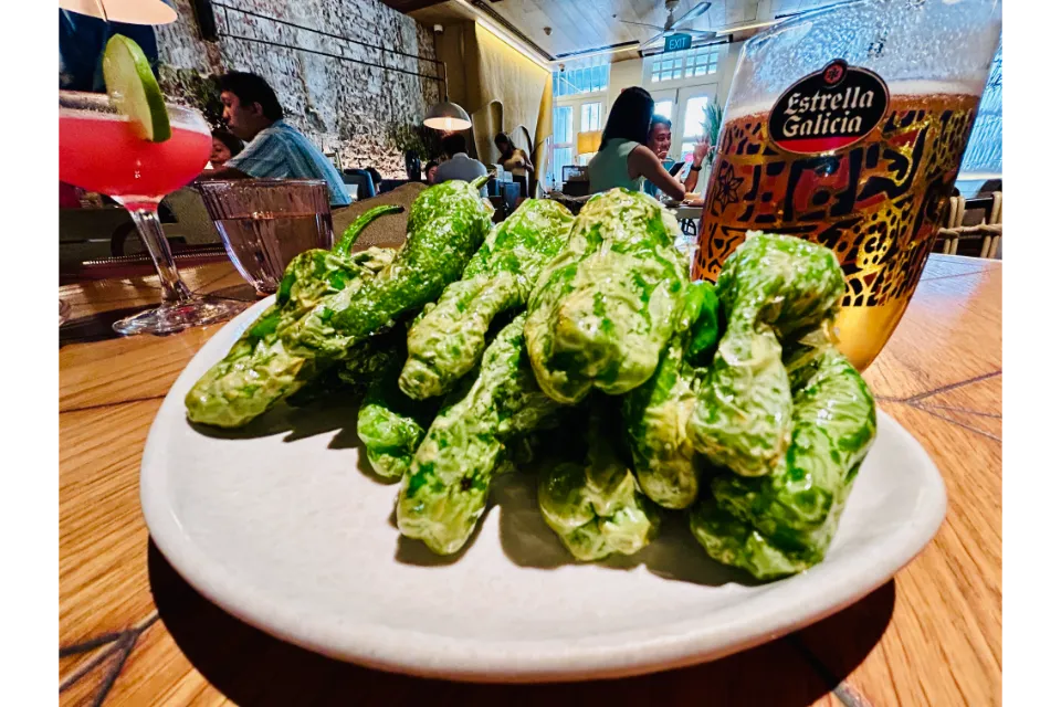 olivia restaurant and lounge padron peppers