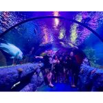 legoland aquarium malaysia family tunnel