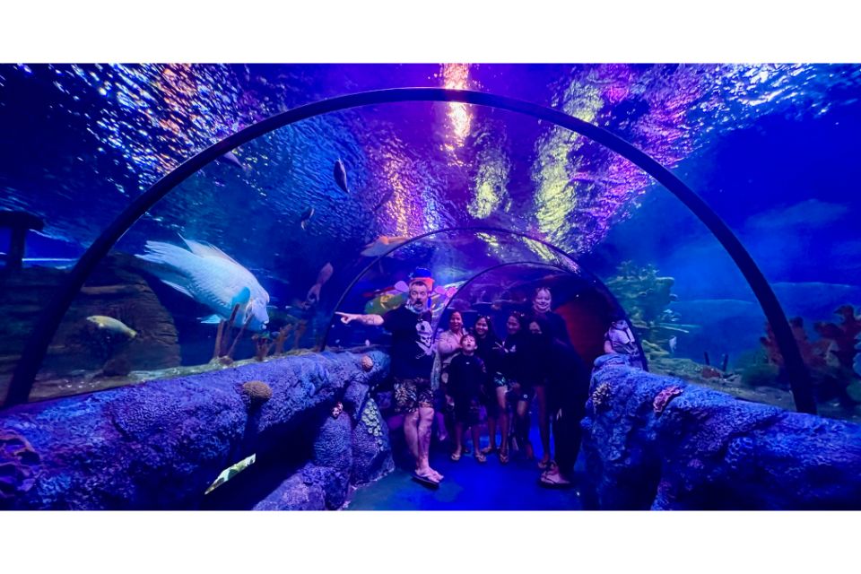 legoland aquarium malaysia family tunnel