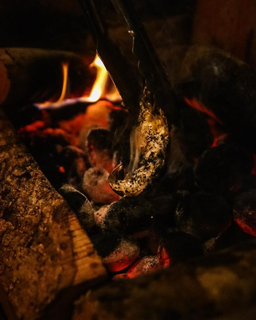 the social outcast wood fire