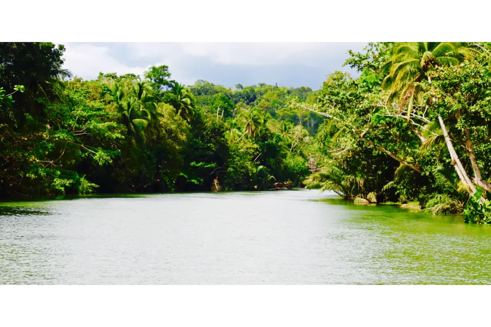 bohol review loboc river cruise views