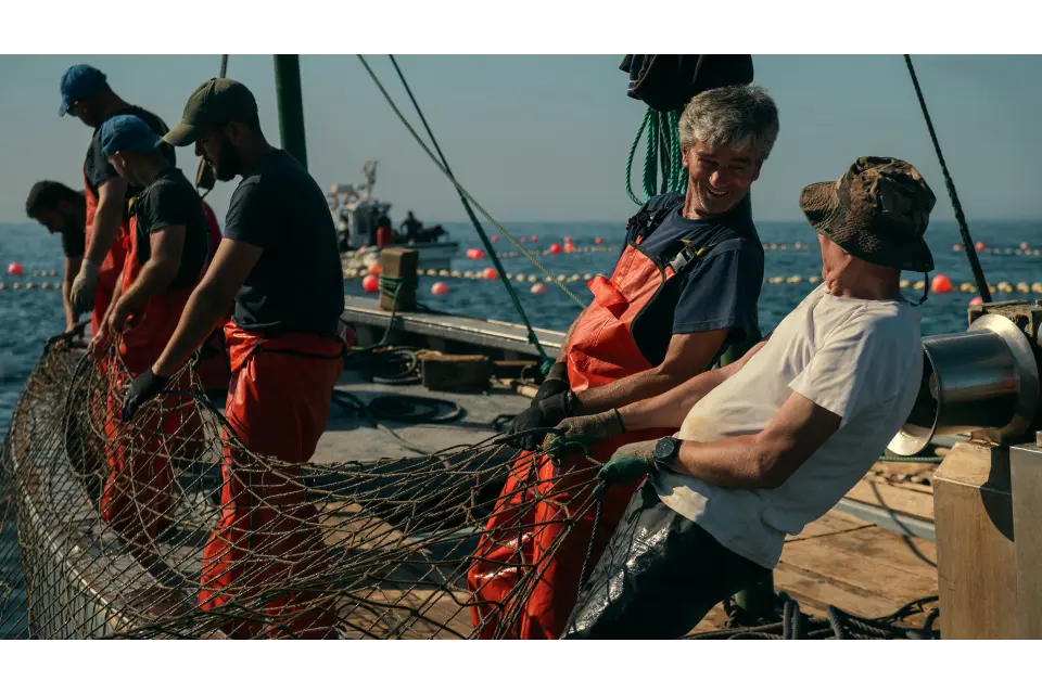 omnivore review tuna apple tv rene redzepi