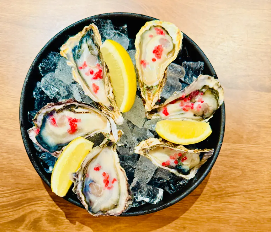 slainte paragon review murotsu oysters