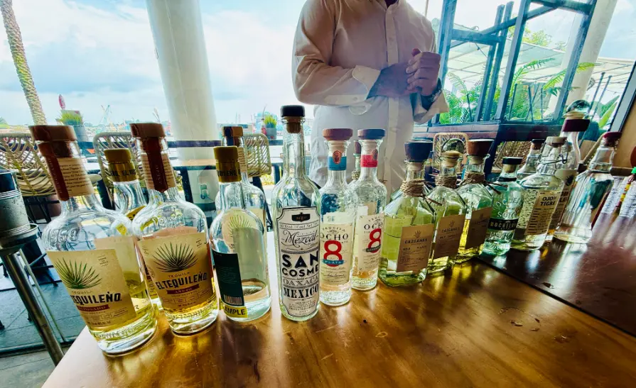 vivocity review singapore agave festival many tequilas